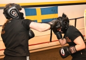 Sparring AIK-Hammarby, Damer  (Boxning)