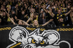 Publikbilder. AIK-Kalmar