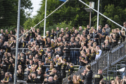 Publikbilder. Halmstad-AIK