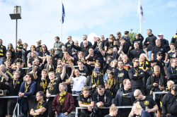 Publikbilder. Halmstad-AIK