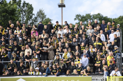 Publikbilder. Halmstad-AIK