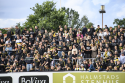 Publikbilder. Halmstad-AIK