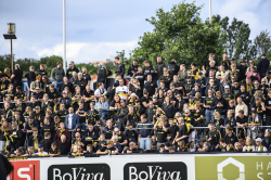 Publikbilder. Halmstad-AIK