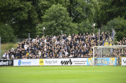 Publikbilder. Halmstad-AIK