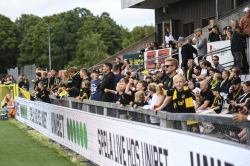 Publikbilder. Halmstad-AIK