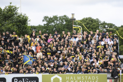 Publikbilder. Halmstad-AIK