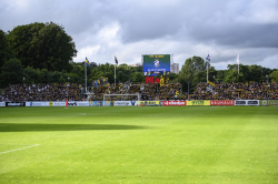 Publikbilder. Halmstad-AIK