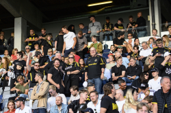 Publikbilder. Halmstad-AIK