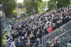 Publikbilder. Halmstad-AIK