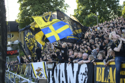 Publikbilder. Halmstad-AIK