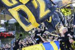 Publikbilder. Halmstad-AIK