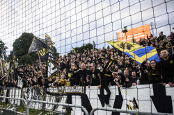 Publikbilder. Halmstad-AIK