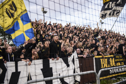 Publikbilder. Halmstad-AIK