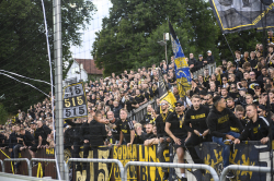 Publikbilder. Halmstad-AIK