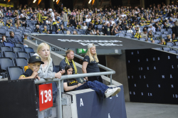 Publikbilder. AIK-BP