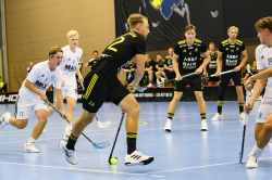 AIK - Järfälla Bele.  10-4