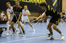 AIK - Järfälla Bele.  10-4