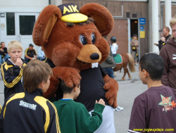 AIK - IF Elfsborg.  0-2