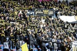 Publikbilder AIK-SSK