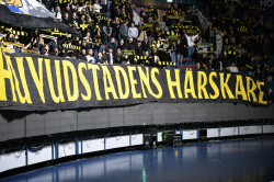 Publikbilder AIK-SSK