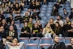 Publikbilder AIK-SSK