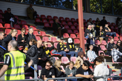 Publikbilder. AIK-Linköping