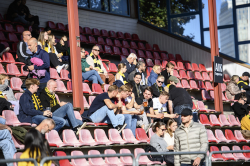 Publikbilder. AIK-Linköping