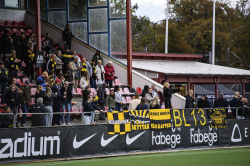 Publikbilder. AIK-Linköping