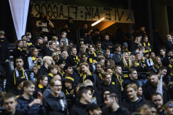 Publikbilder. AIK-Hammarby