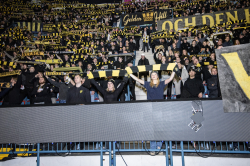 Publikbilder. AIK-Dif 