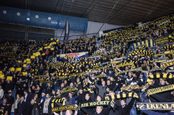 Publikbilder. AIK-Dif 