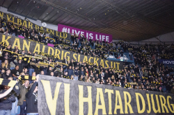 Publikbilder. AIK-Dif 