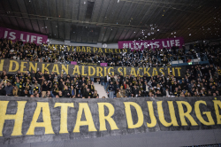 Publikbilder. AIK-Dif 