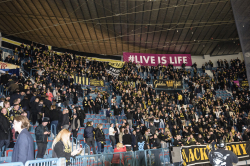 Publikbilder. AIK-Dif 