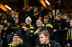 Publikbilder. AIK-Elfsborg