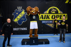 AIK-Open (Brottning)