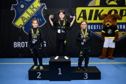 AIK-Open (Brottning)