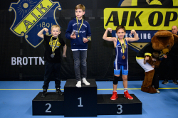 AIK-Open (Brottning)