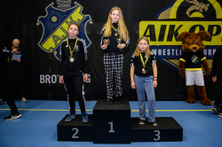 AIK-Open (Brottning)