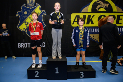 AIK-Open (Brottning)