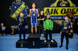 AIK-Open (Brottning)