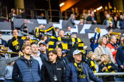 Publikbilder. AIK-Elfsborg