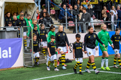 AIK - Hammarby.  1-0