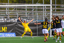 AIK - Hammarby.  1-0
