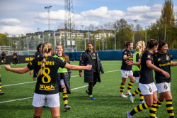 AIK - Hammarby.  1-0