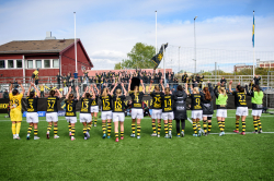 AIK - Hammarby.  1-0