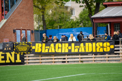 Publikbilder. AIK-Hammarby