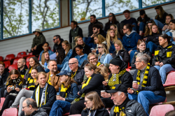 Publikbilder. AIK-Hammarby