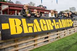 Publikbilder. AIK-Hammarby