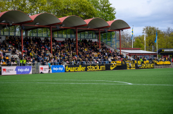 Publikbilder. AIK-Hammarby